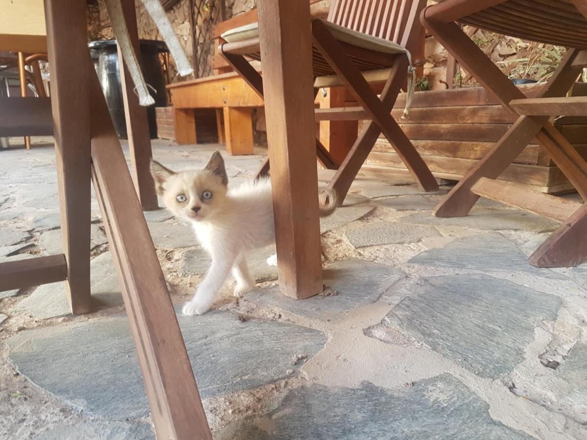 Villa La Vista De Tefía Dış mekan fotoğraf