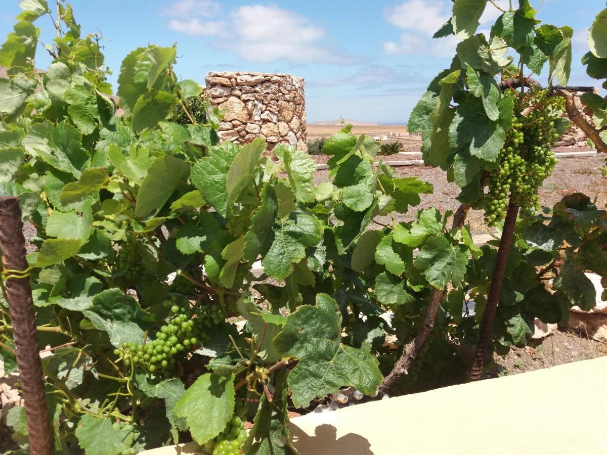 Villa La Vista De Tefía Dış mekan fotoğraf